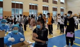 石家庄桃园最新爆料消息,揭秘项目进展与未来规划